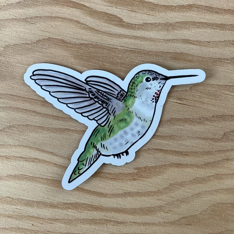 Anna's hummingbird magnet