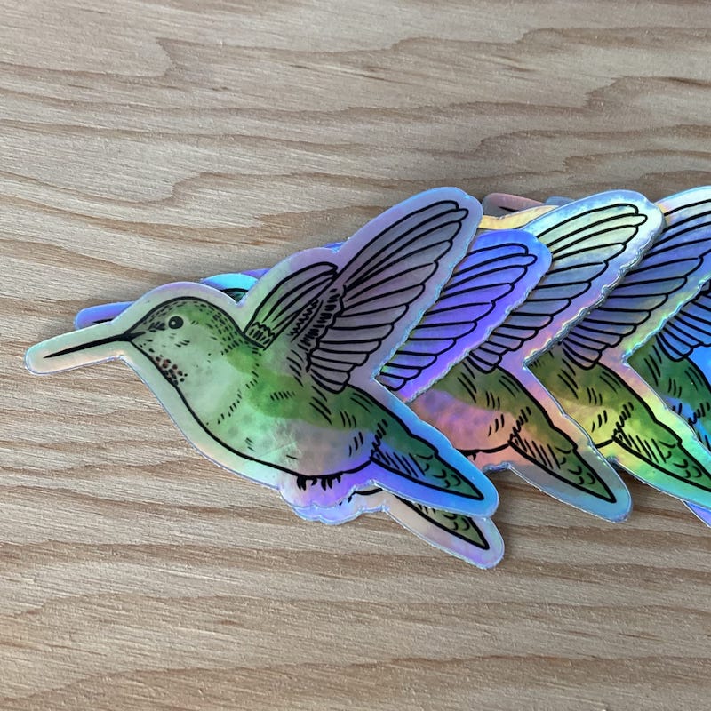 Anna's hummingbird stickers