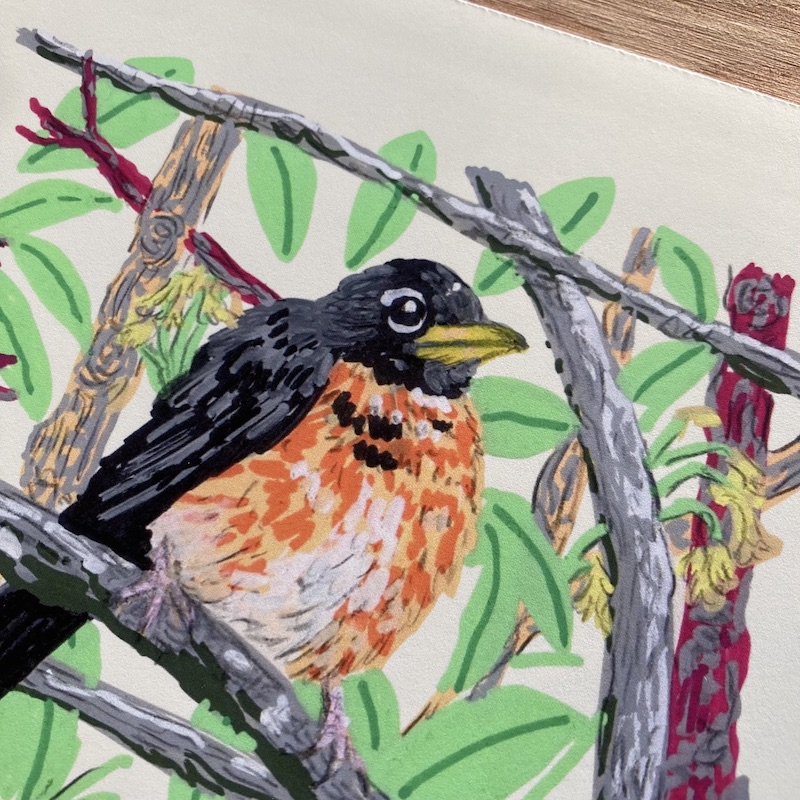 Fluffed Robin Print close-up