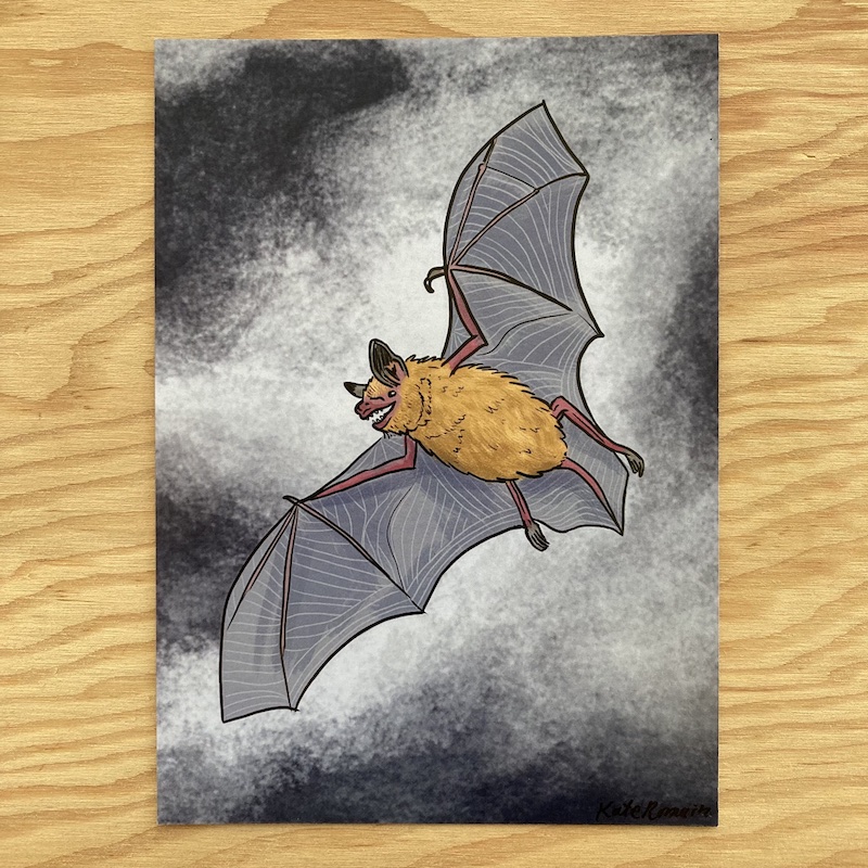 A photo of the Little Brown Bat Print