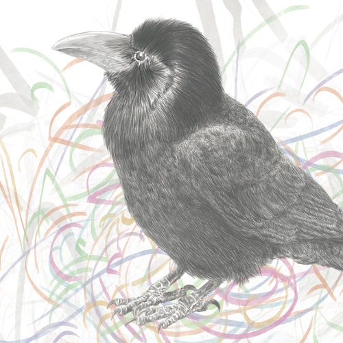 A digital illustration of a jungle crow & its coat hanger nest