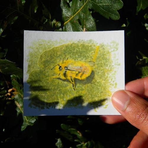A small watercolor painting of a bumble bee resting atop an oak leaf, held above a real oak leaf